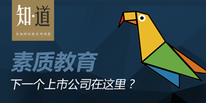 素質(zhì)教育：下一個(gè)上市公司在這里？